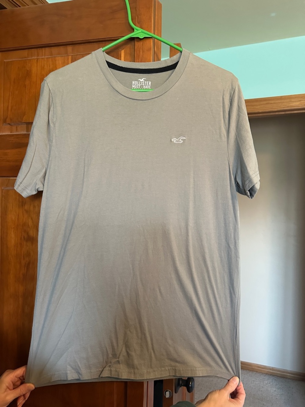 Hollister Tee